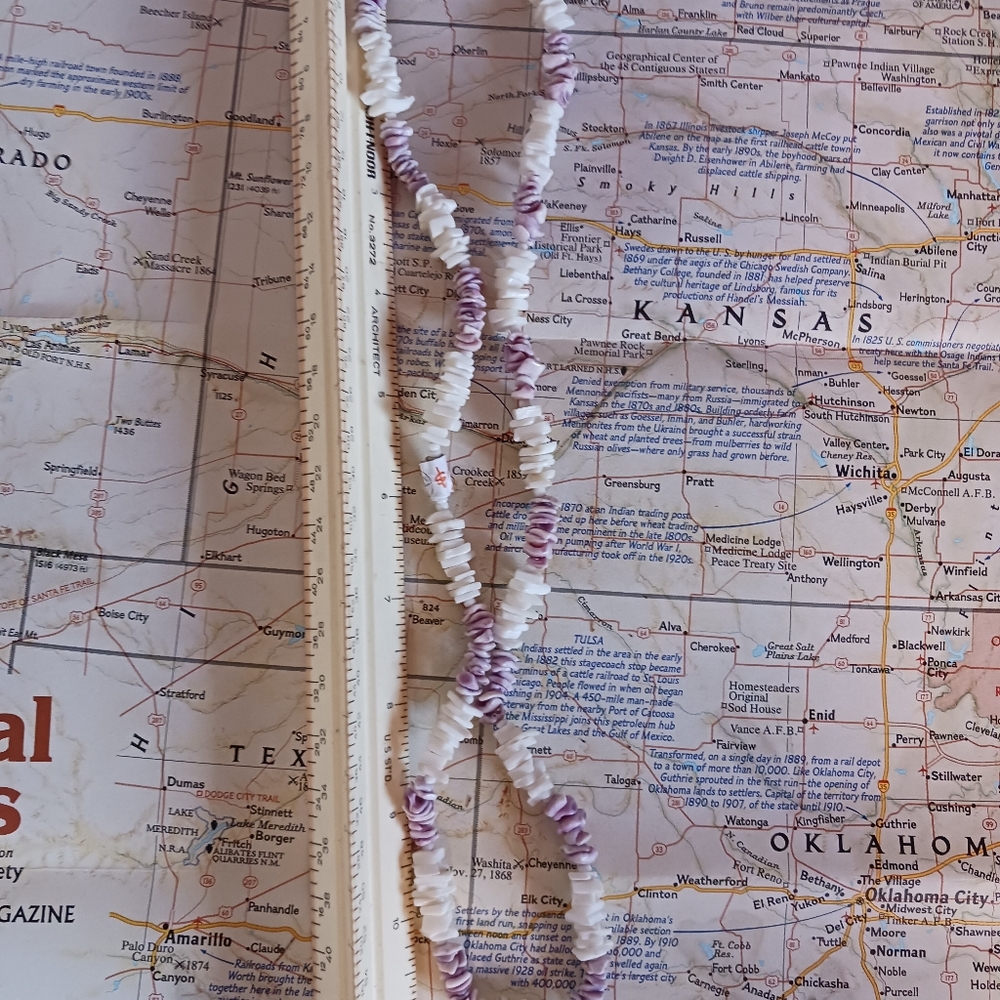 Shell bead necklace - Picture 2 of 3